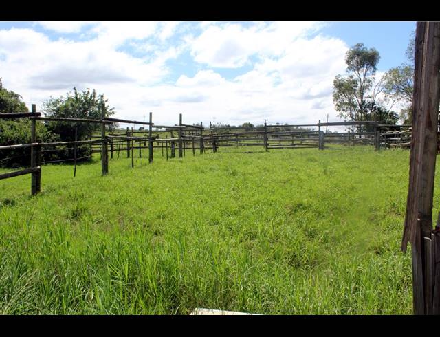 8.60HA FARM FOR SALE IN EAST LONDON RURAL